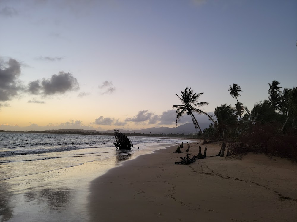 Negra, Yo Soy Bella : Puerto Rico