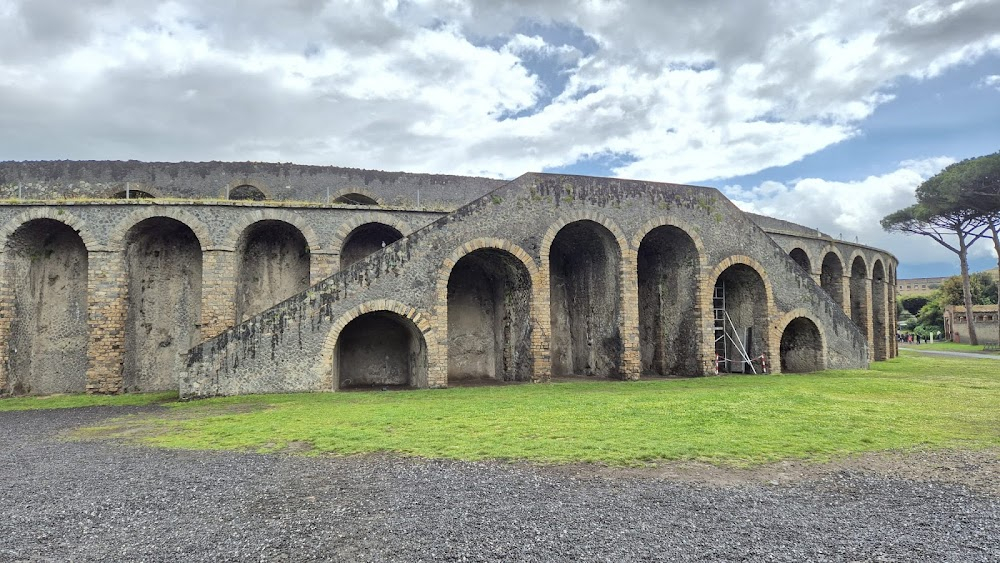 In the Shadow of Vesuvius : 