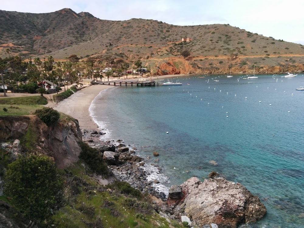 Catalina Island : 