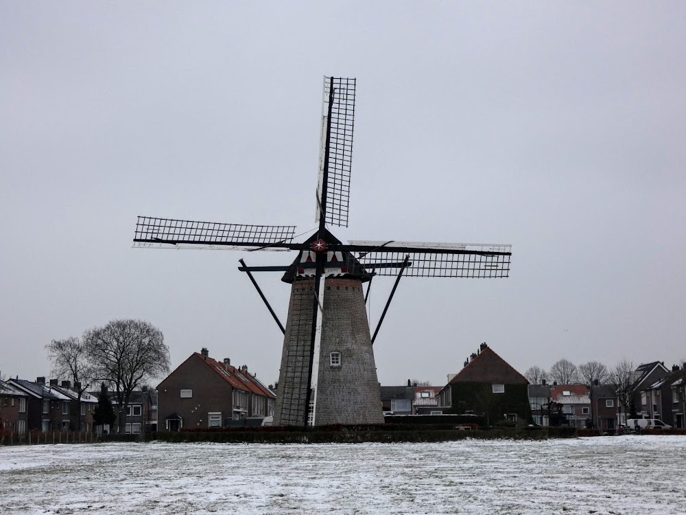 De kinderen van juf Kiet : Location of elementary school/primary school