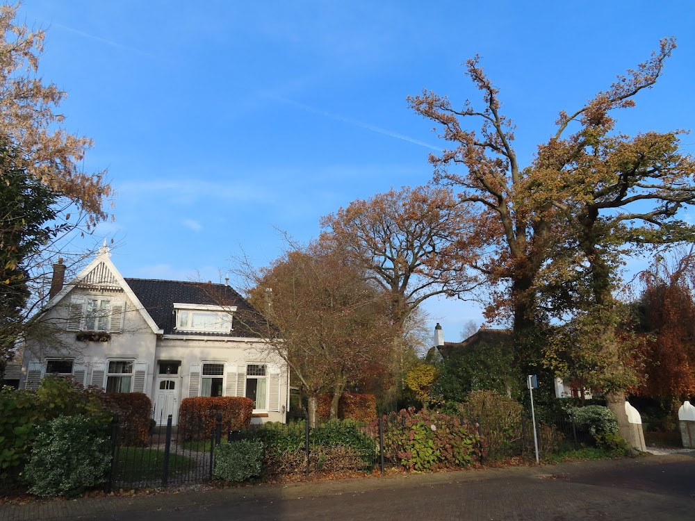 De slag om de Schelde : Location