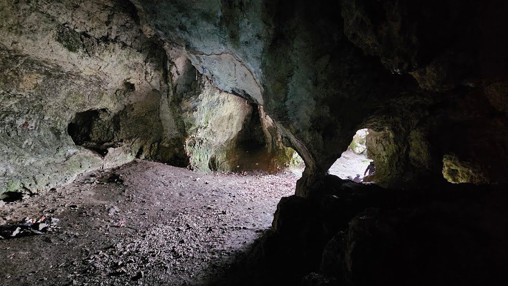 Deklaracja niesmiertelnosci : cave