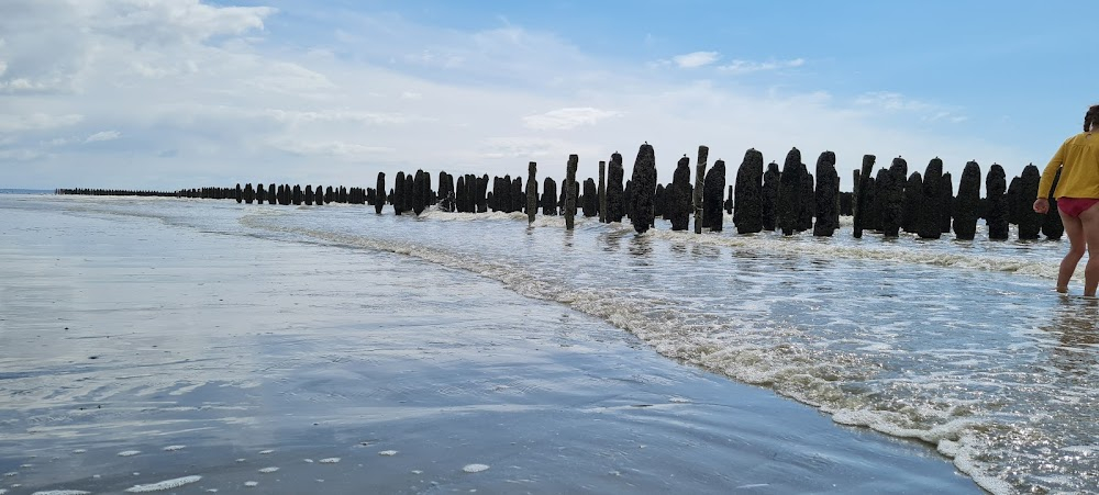 Dêmokratia : beach scenes