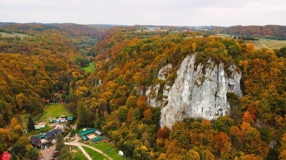 Demony wojny wg Goi : valley