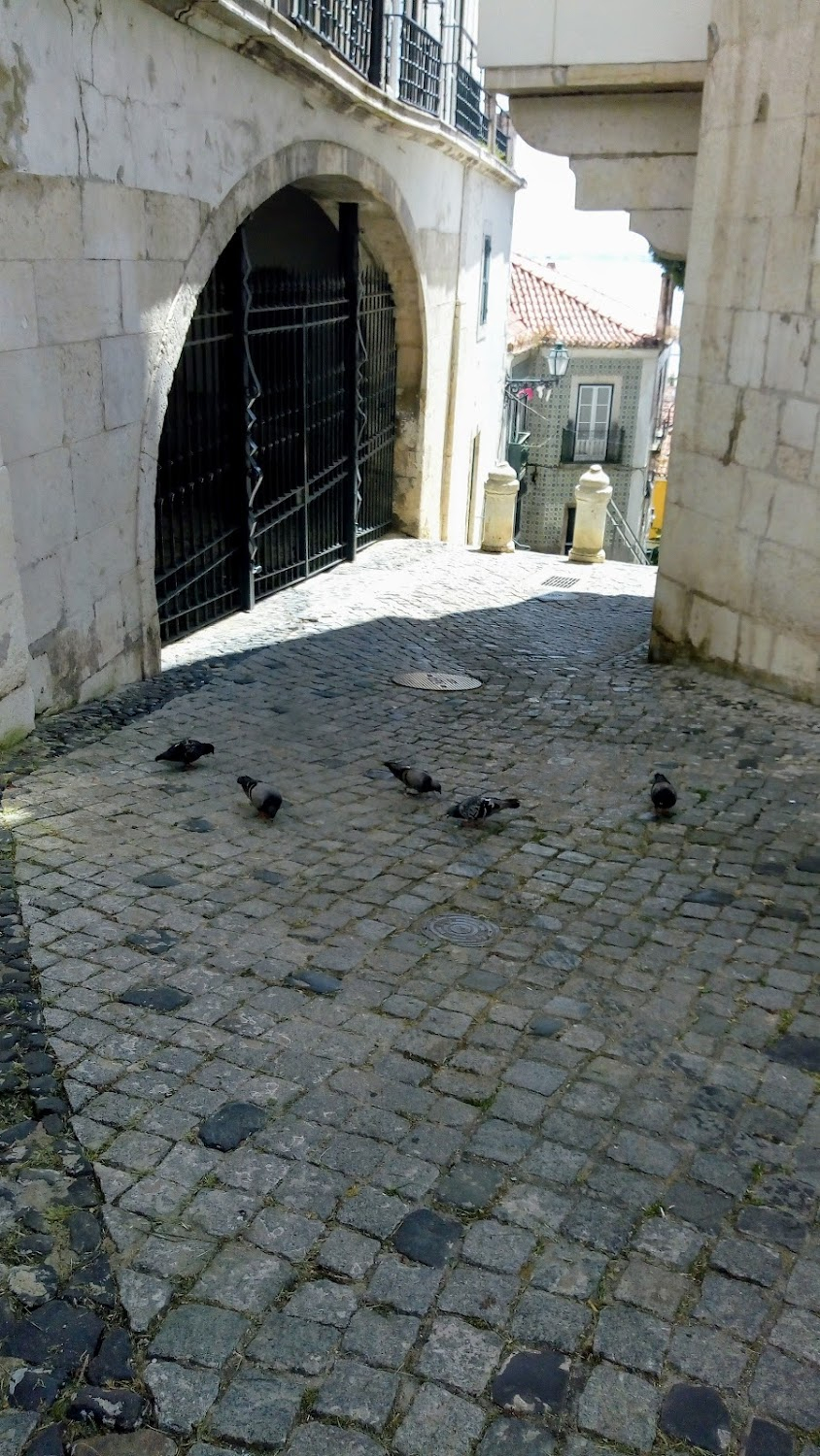 Der Fremdenführer von Lissabon : Musical scene followed by the gift of oranges to street kids at the nearby Escadinhas de Santo Estevao.