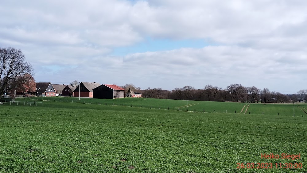 Gonger - Das Böse vergisst nie : 