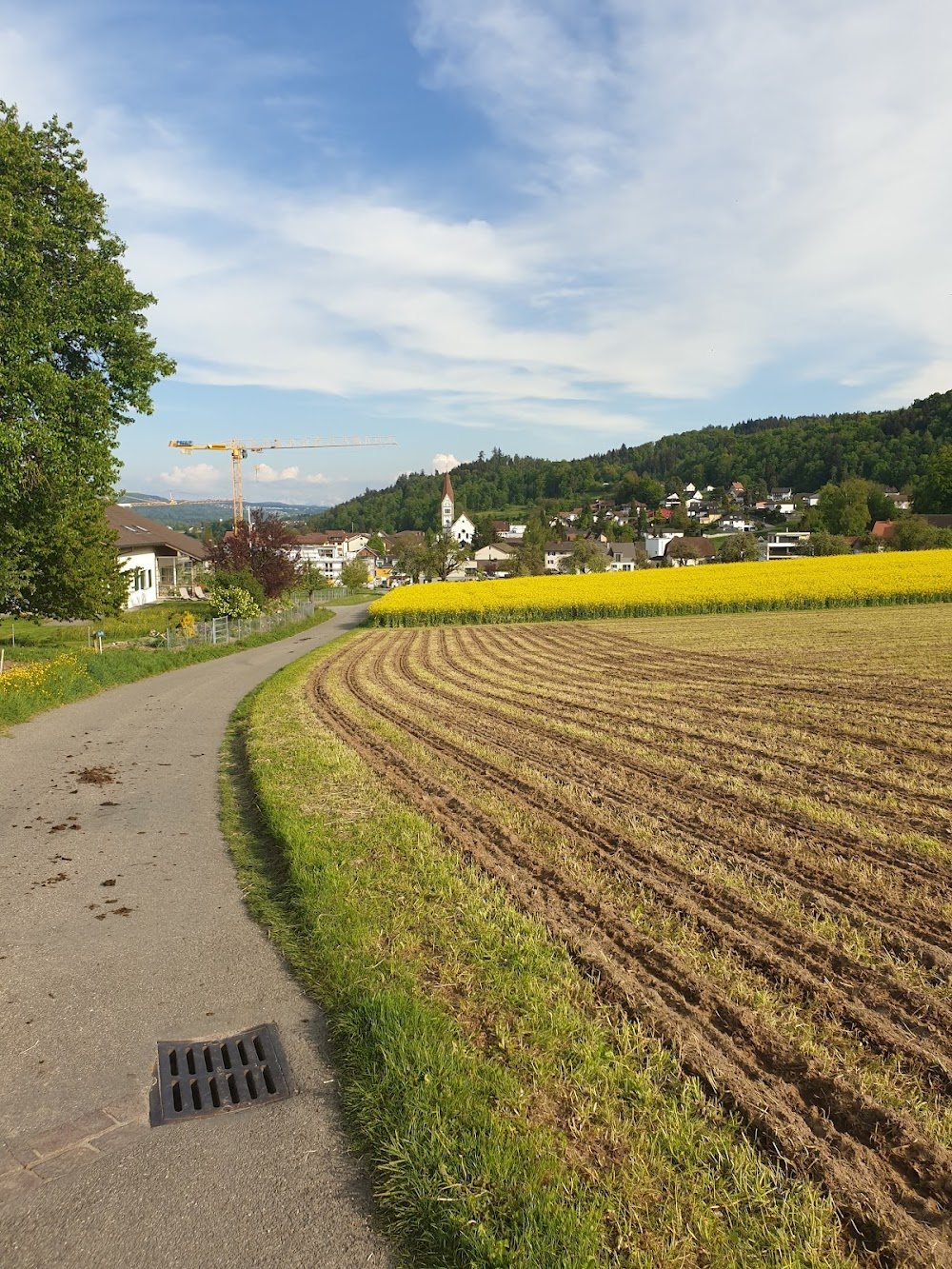 Der letzte Postillon vom St. Gotthard : 