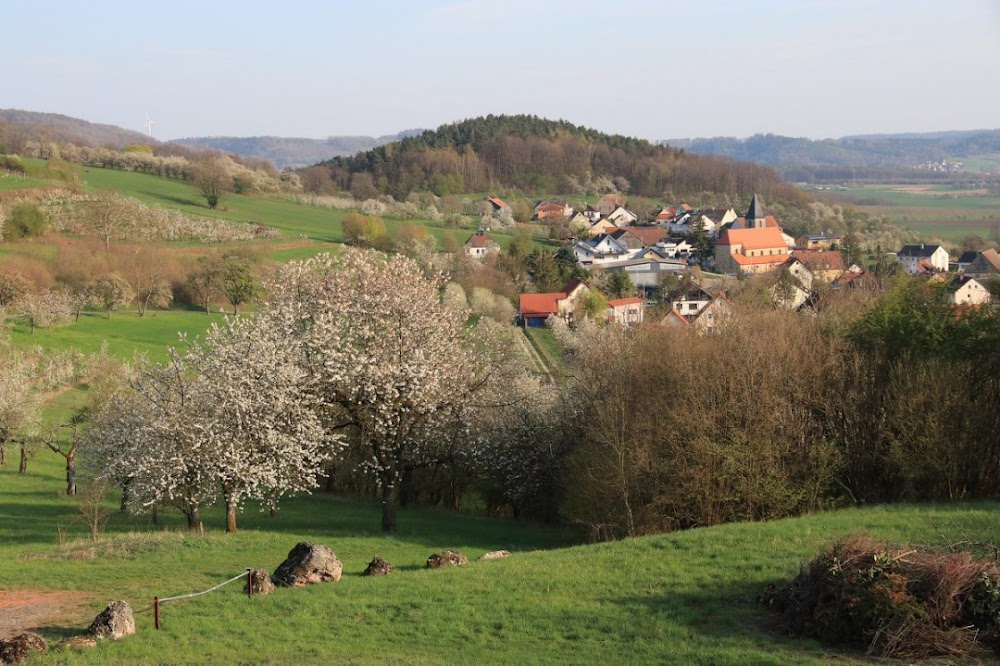 Der Tod des weißen Pferdes : 