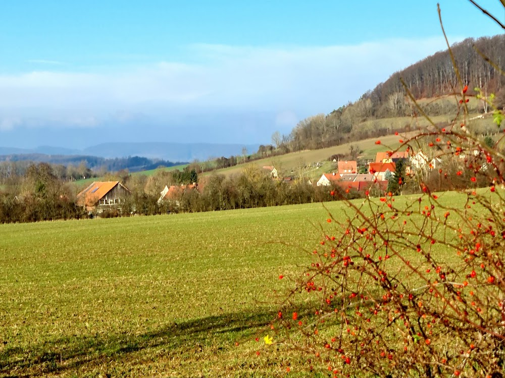 Deutschfieber : 