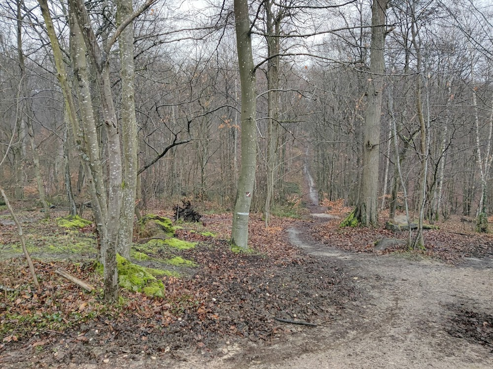 Deux hommes dans la ville : Gino enjoys a taste of recovered liberty while taking a few steps in the forest in the company of his life partner