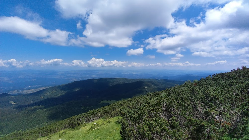 Devetnaest djevojaka i jedan mornar : 