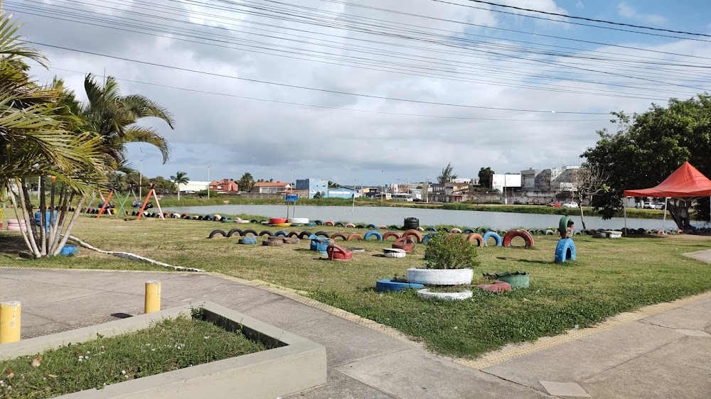 Diálogos Indígenas do Nosso Tempo : 