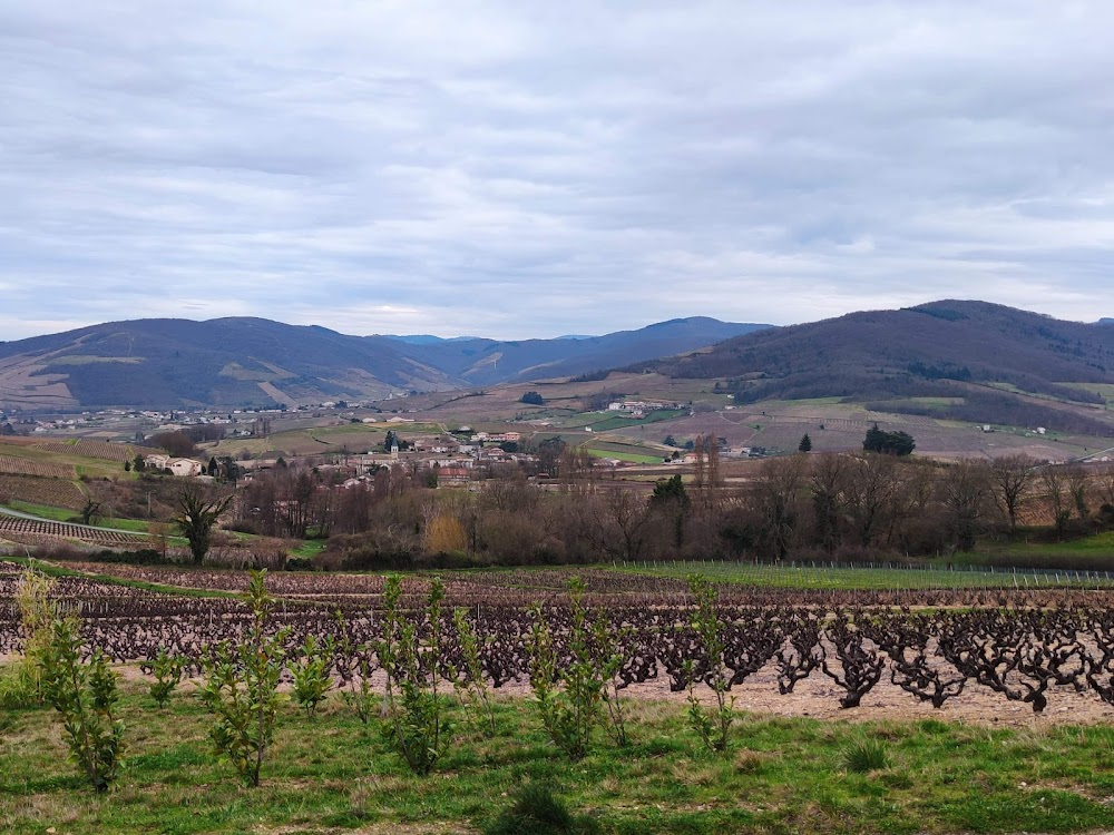 Dialogue avec mon jardinier : 