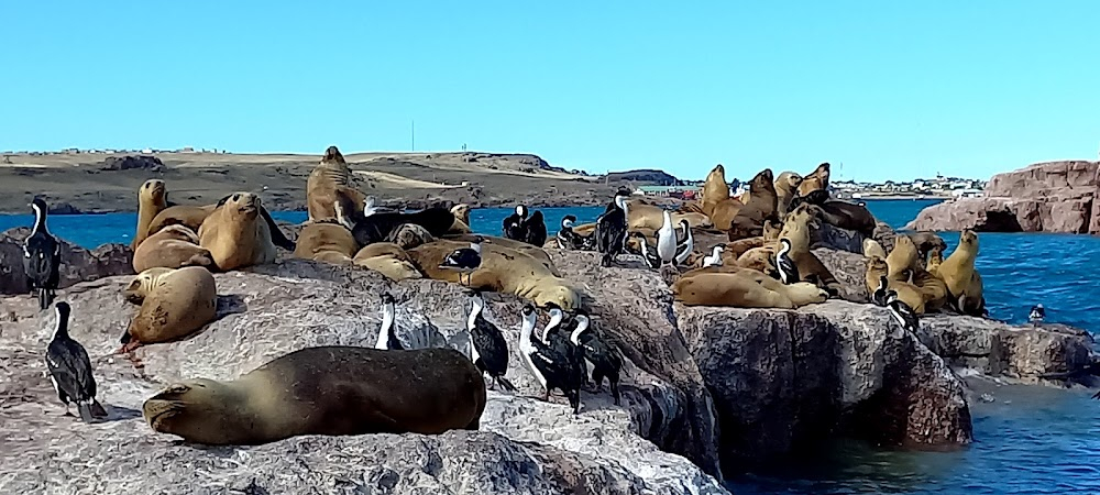 Días de pesca : 