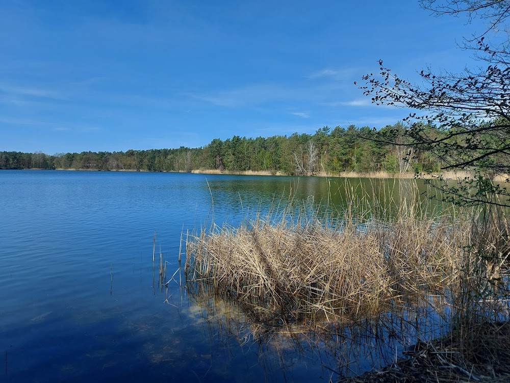 Die Abenteuer des Huck Finn : 