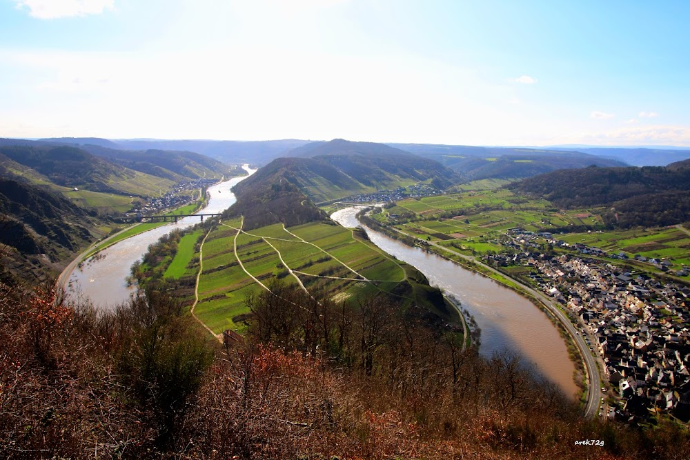 In the Valley of the Rhine : at the confluence with the Rhine