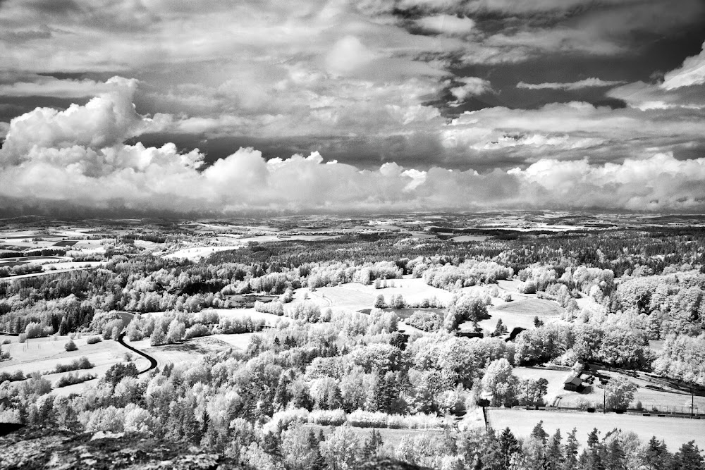 Die fremde Frau - Winterreise nach Flossenbürg : Everything