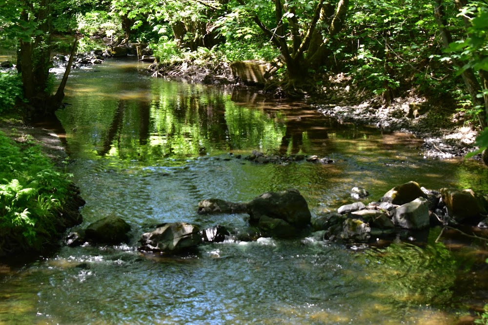 Die Gänsehirtin am Brunnen : location