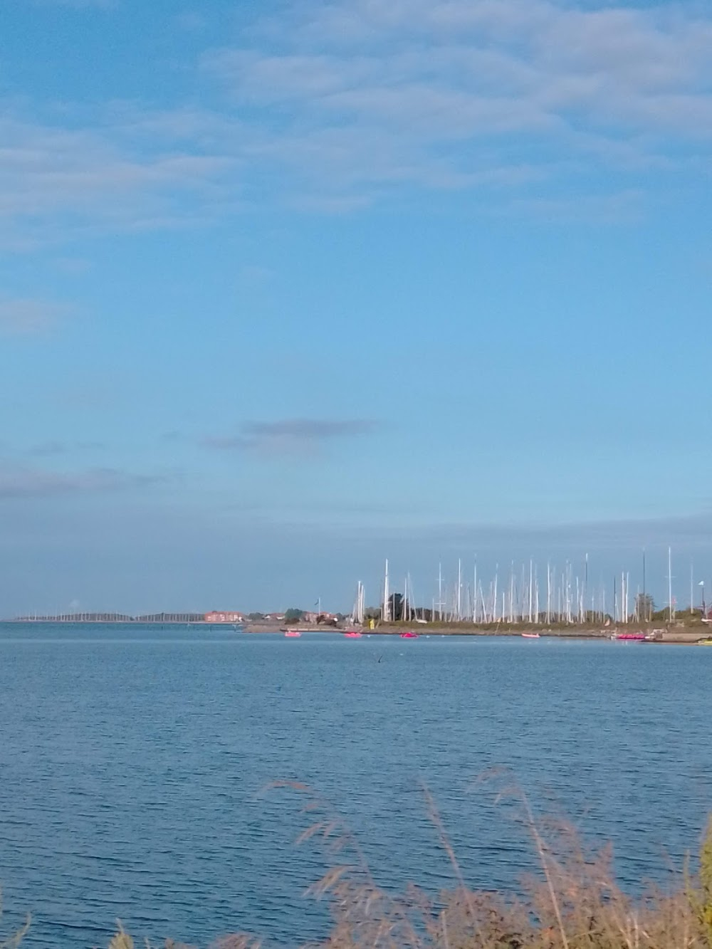 Die Jäger des Ostsee-Schatzes : 