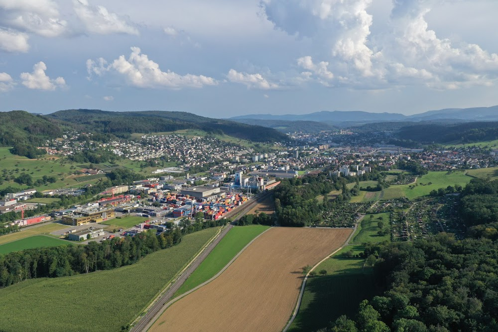 Die Schatten werden länger : 