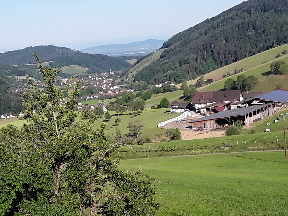 Die Schwarzwaldklinik - Neue Zeiten : 