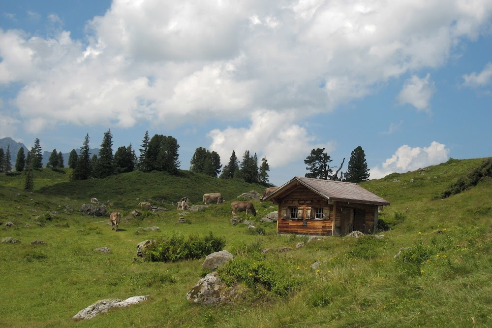 Grimsel: Ein Augenschein : 