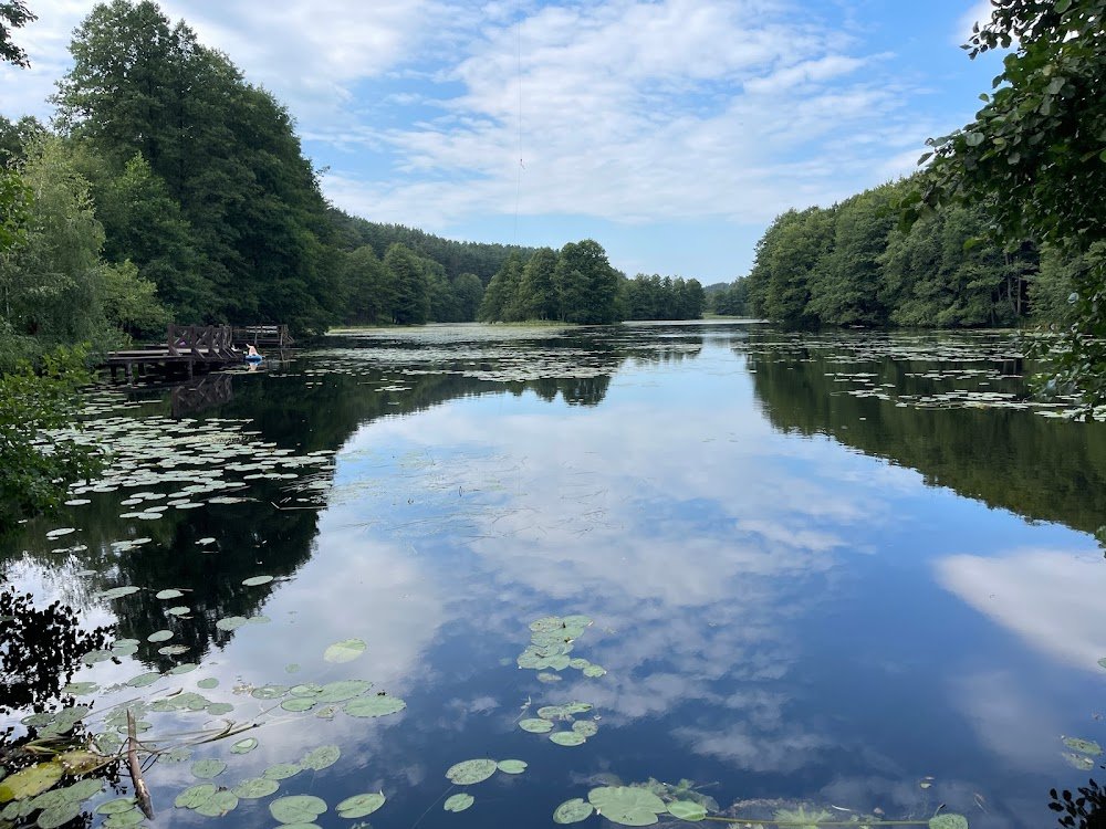 Dlaczego nie! : nature reserve