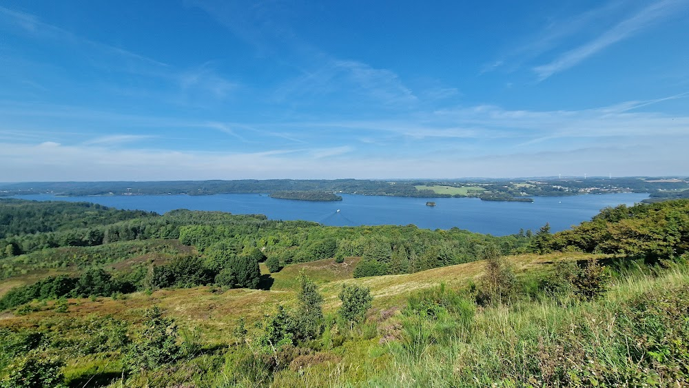 Døden kommer til middag : forest scenes