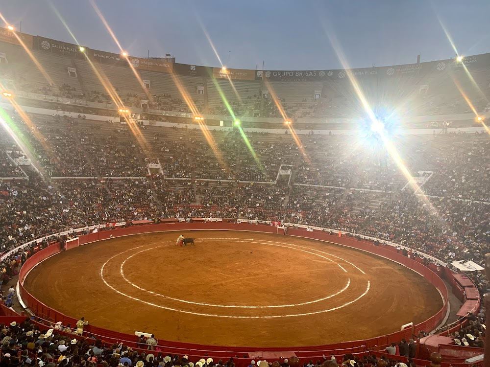 Dos novias para un torero : 