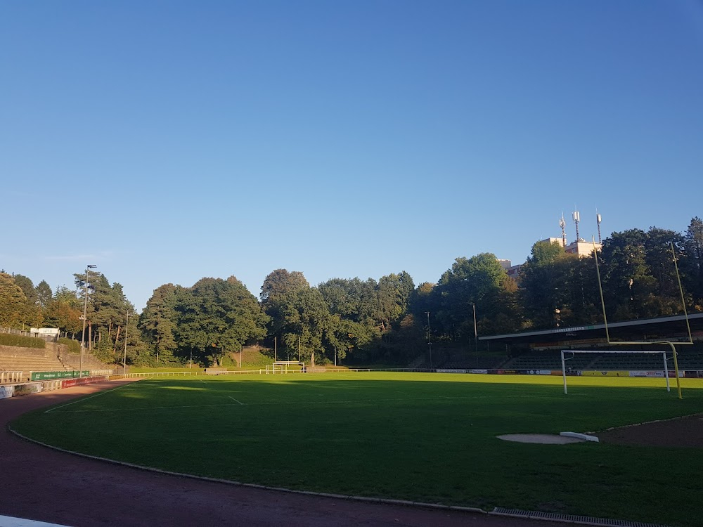 Duell der Brüder - Die Geschichte von Adidas und Puma : stadium