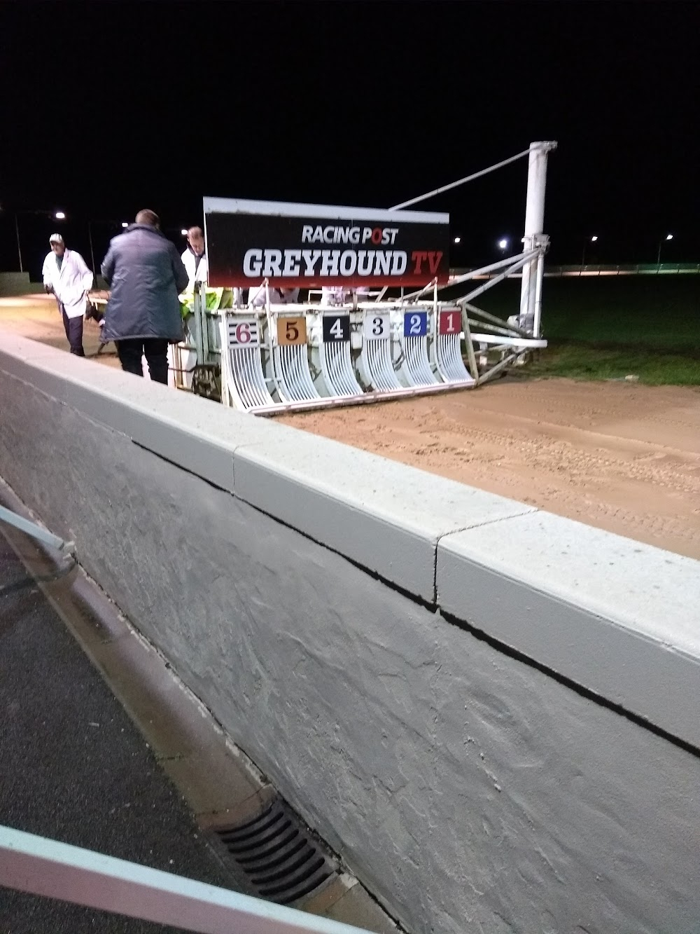 Dusty and Me : greyhound racetrack