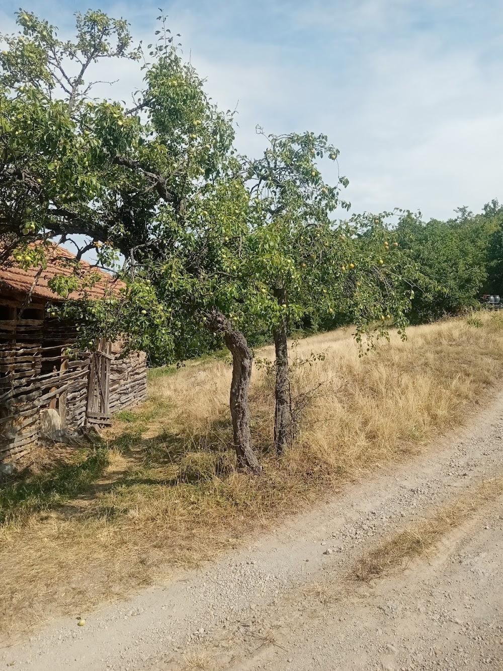 Dvoboj za Juznu prugu : 