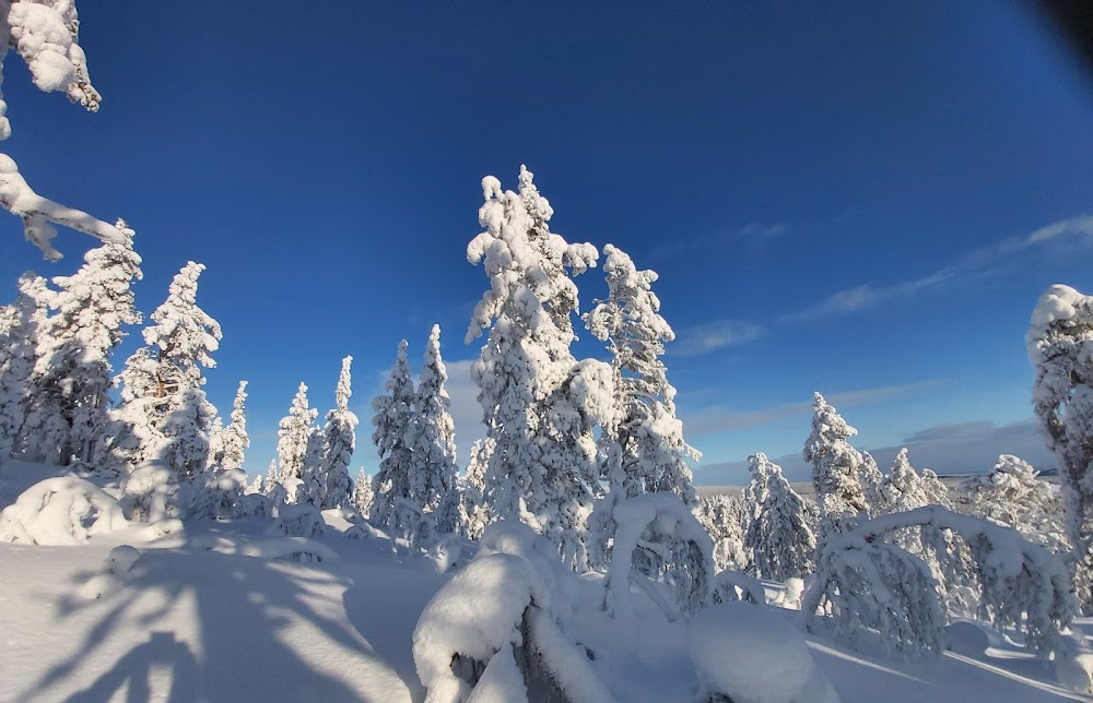 Aila, Pohjolan tytär : 