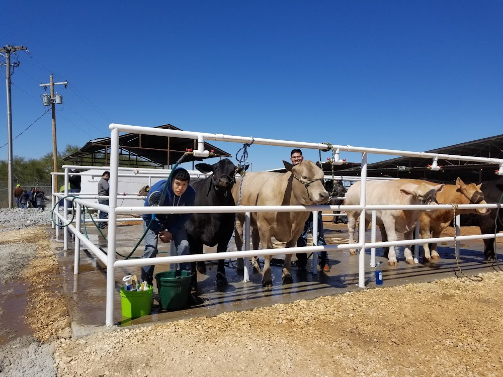 Eddie Macon's Run : rodeo scenes