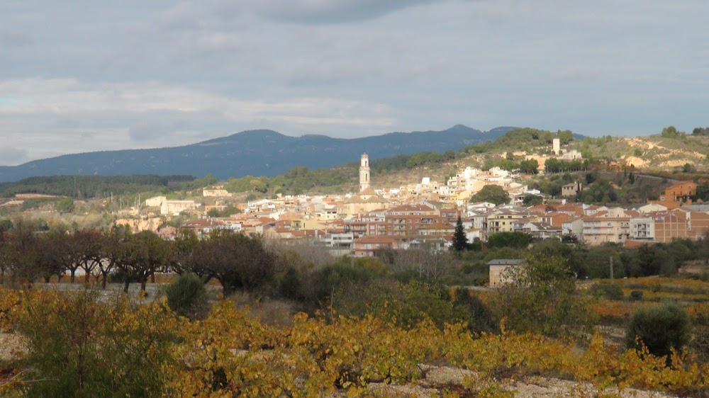 El cafè de la Marina : 