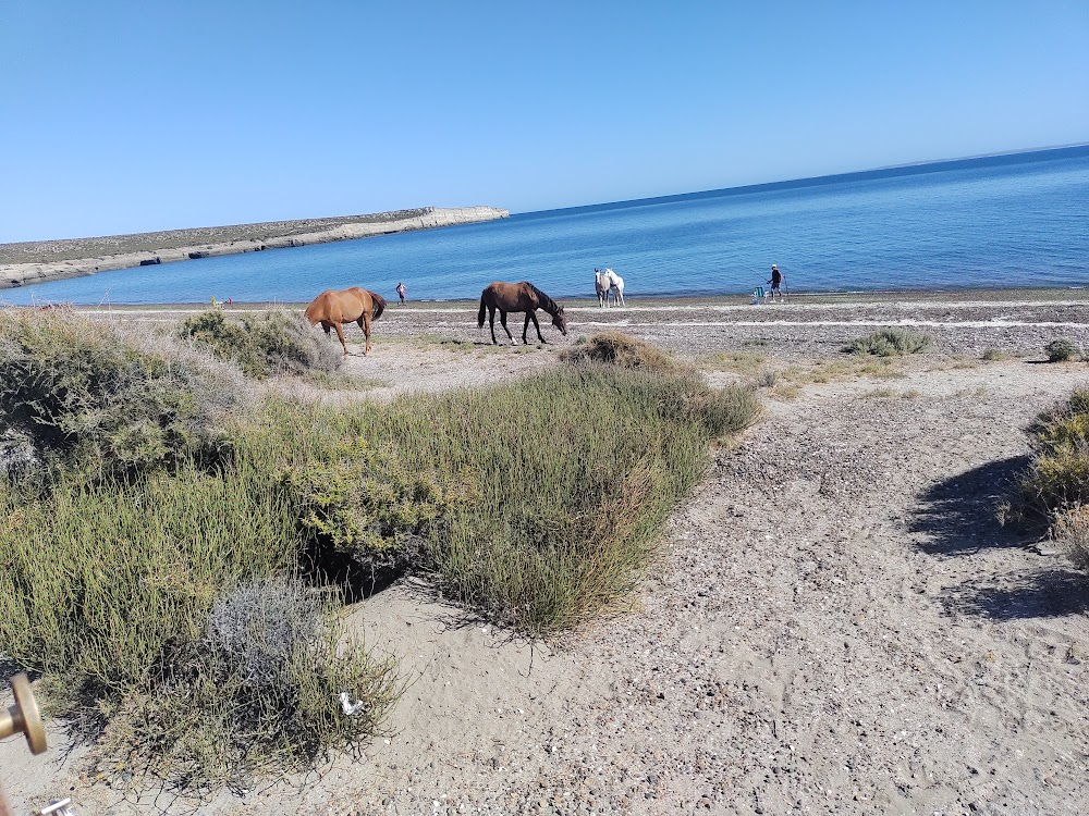 El fondo del mar : 