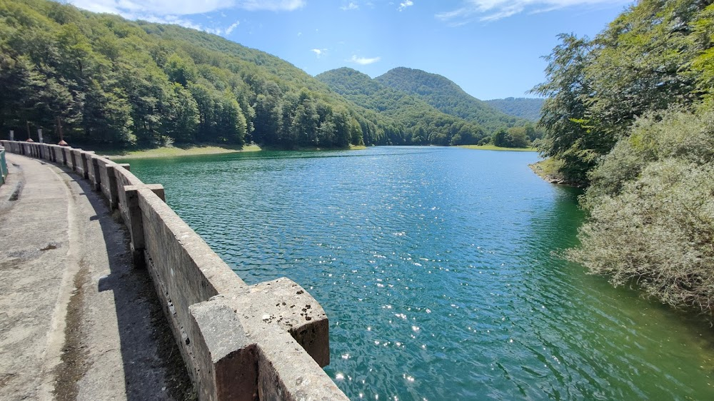 El guardián invisible : dam