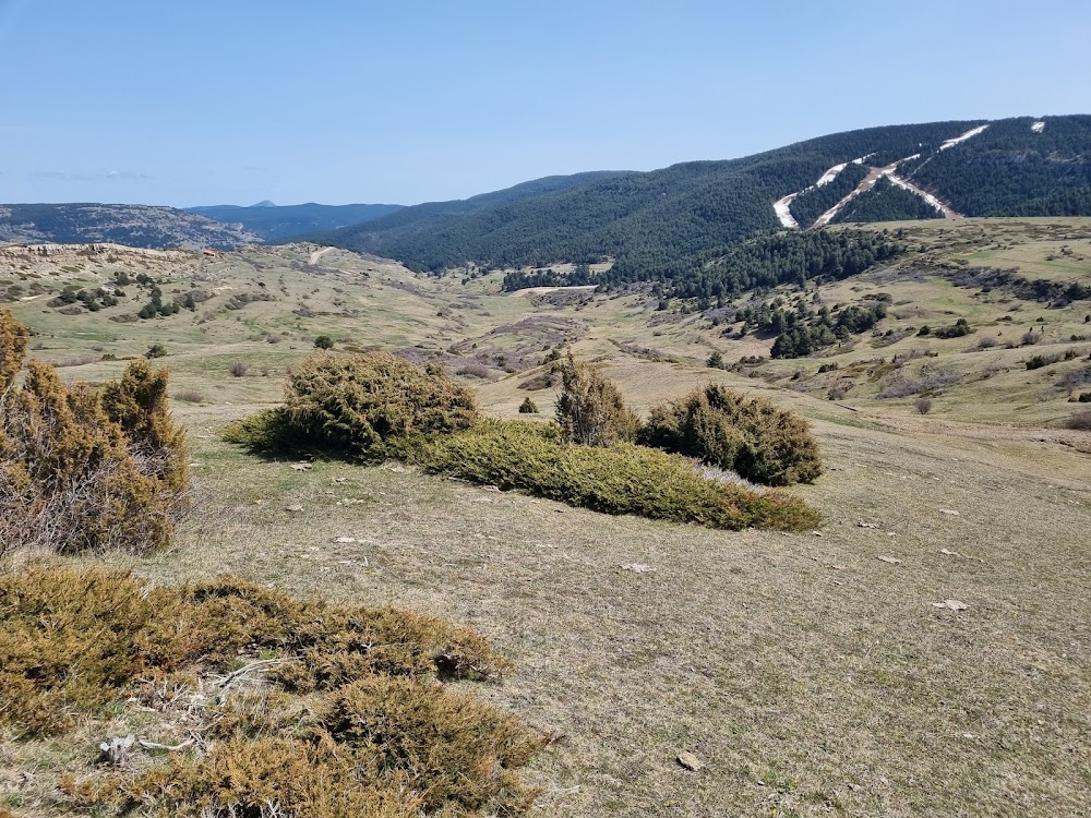 El ruiseñor de las cumbres : Montañas