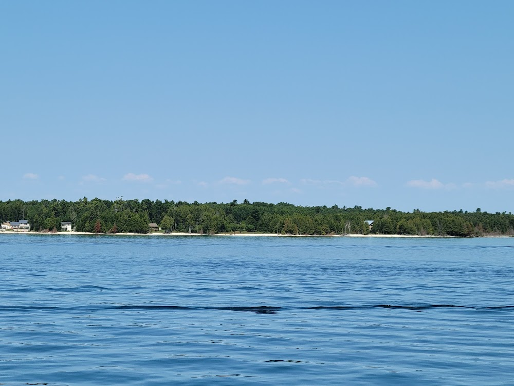 Elder Island : 