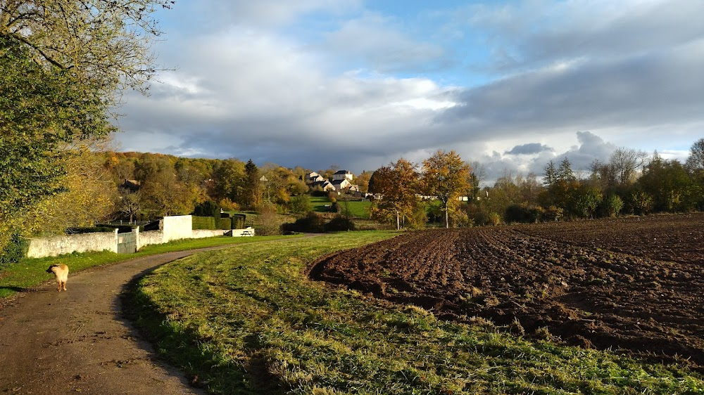 Élise ou la vraie vie : countryside scenes