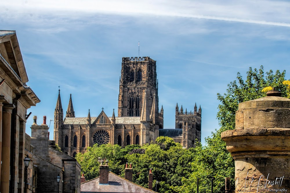 Sting: A Winter's Night... Live from Durham Cathedral : 