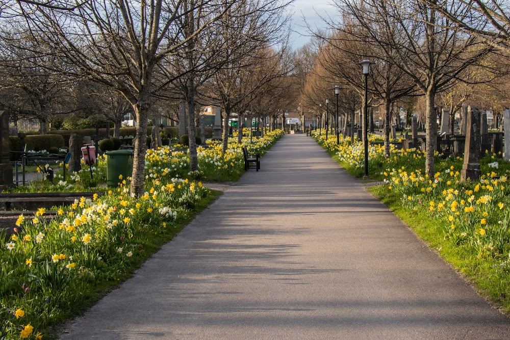 En man som heter Ove : cemetery scenes