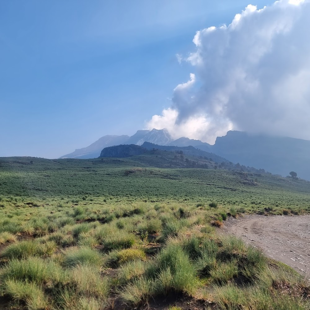 Motoring in Mexico : national park