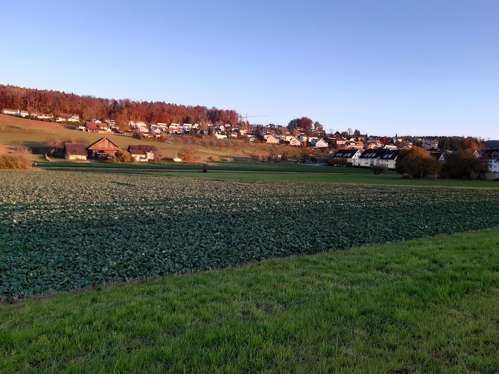 Es geschah am hellichten Tag : Jacquier calls the police from Gasthaus zum Löwen