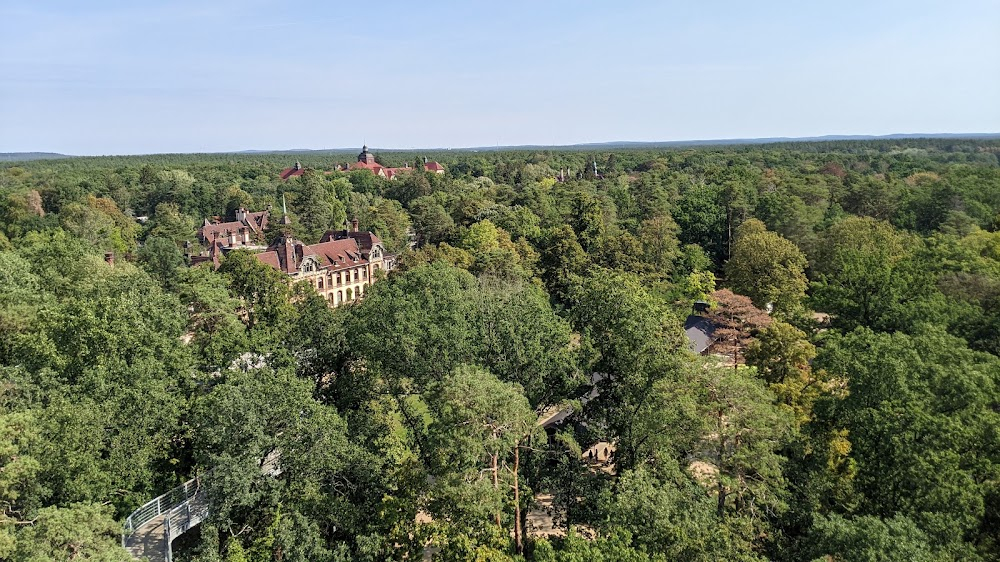 Es steht der Wald so schweigend : day light