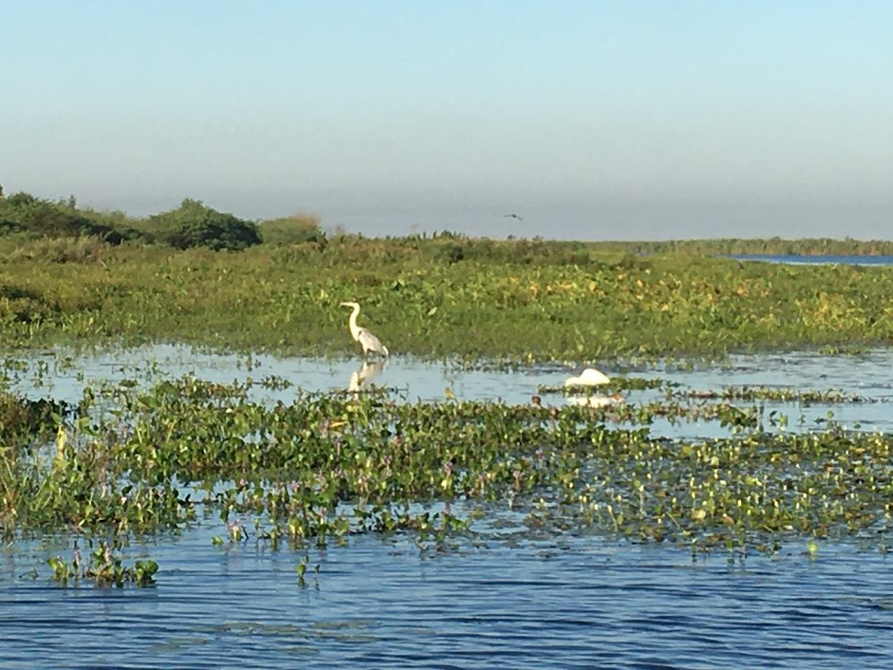 Esteros : The wetlands shown in the film