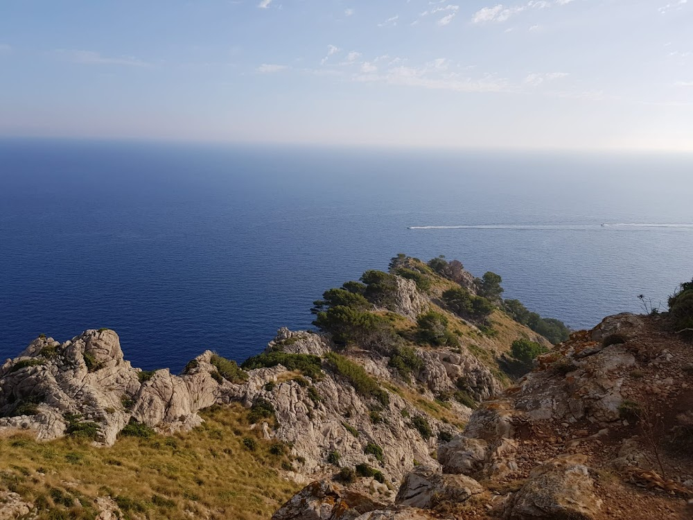 Evil Under the Sun : Gull Cove seen from cliffs