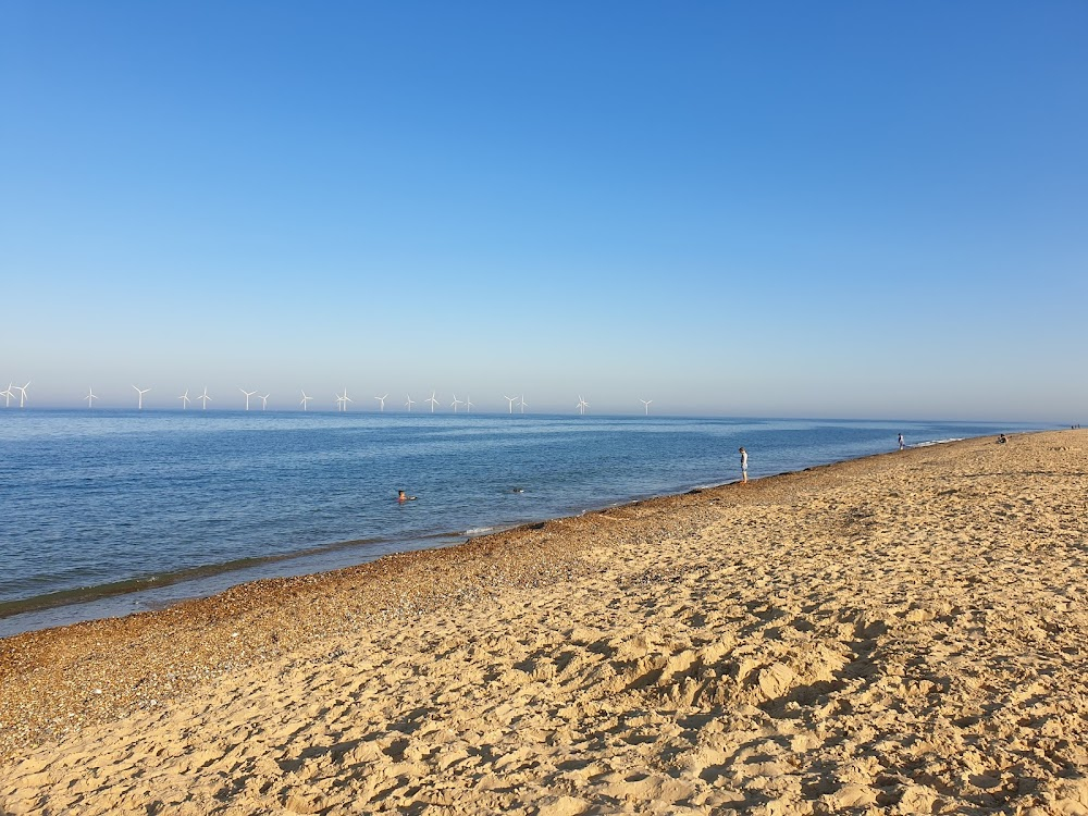 Fact or Fiction? The Norfolk Sea Creature : Beach Shots