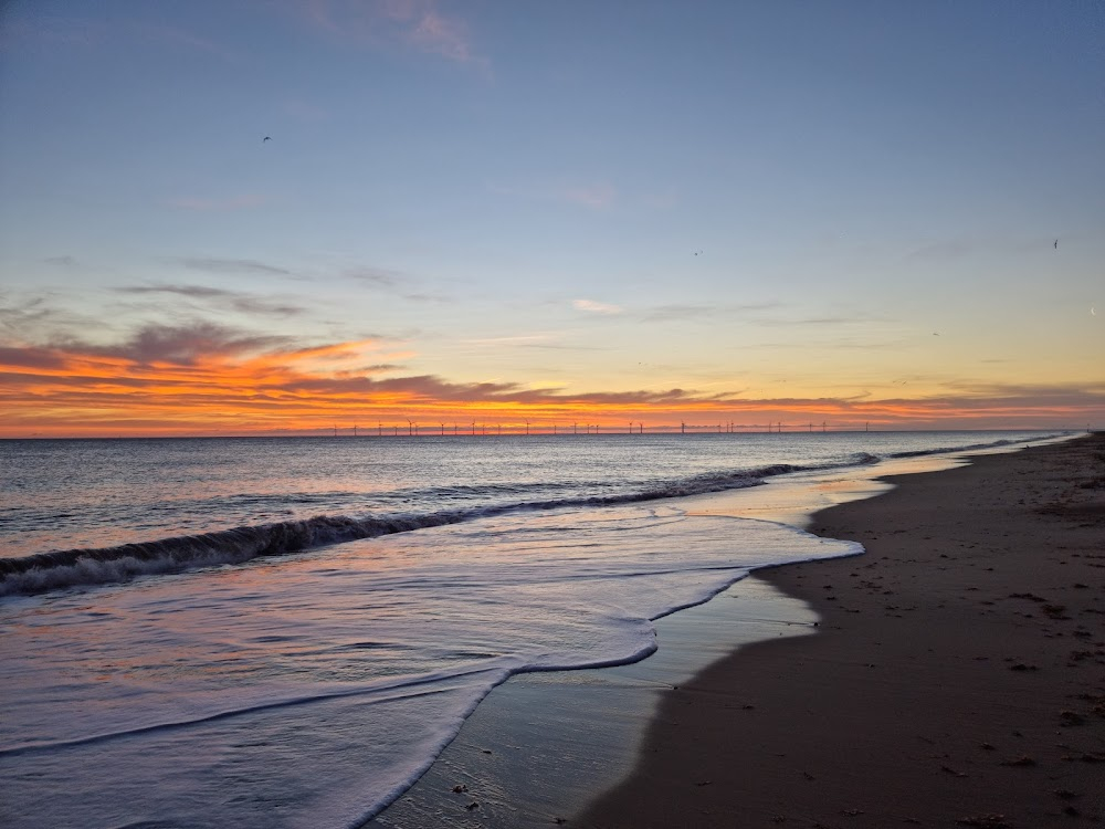 Fact or Fiction? The Norfolk Sea Creature : Beach Shots