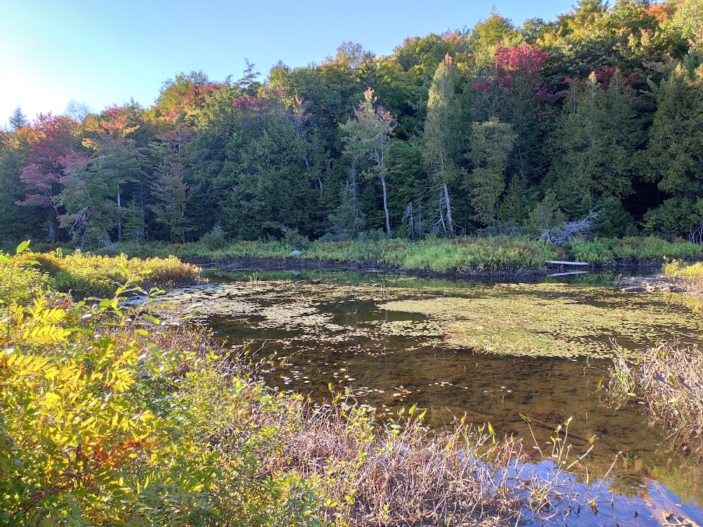 Falcon Lake : 